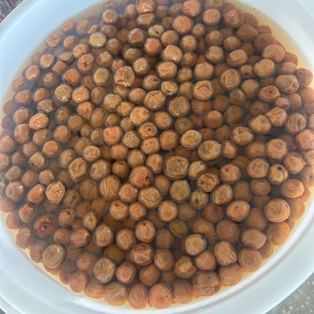 任歌，爱唱歌的柠檬（陈年牛角子，梅子）