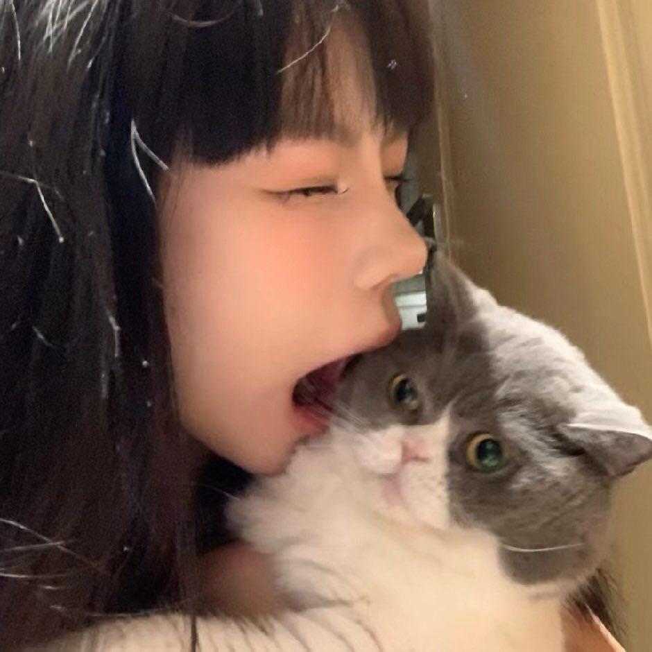悲伤的小鱼干-