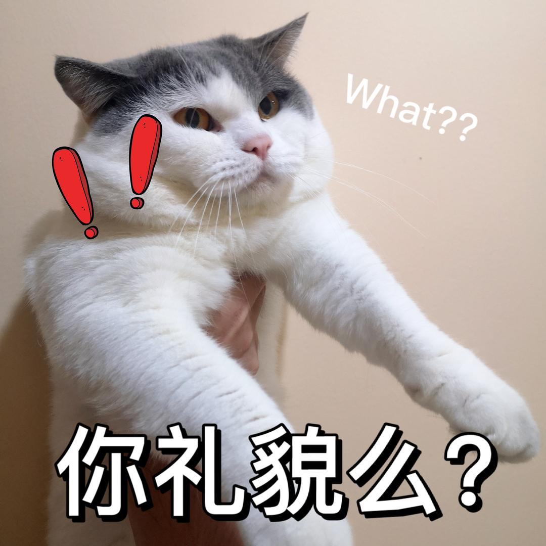 汤包爱吃