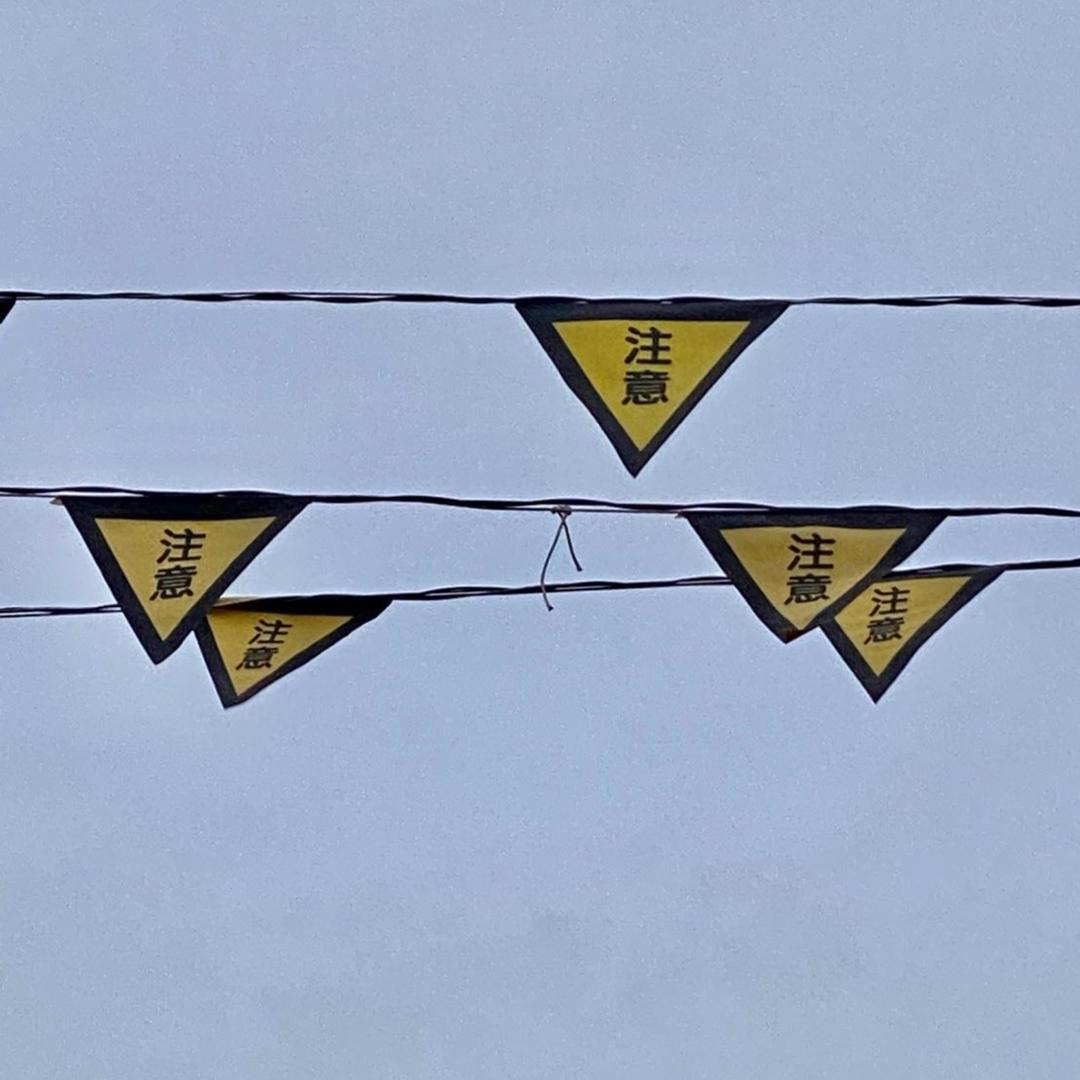 nnest