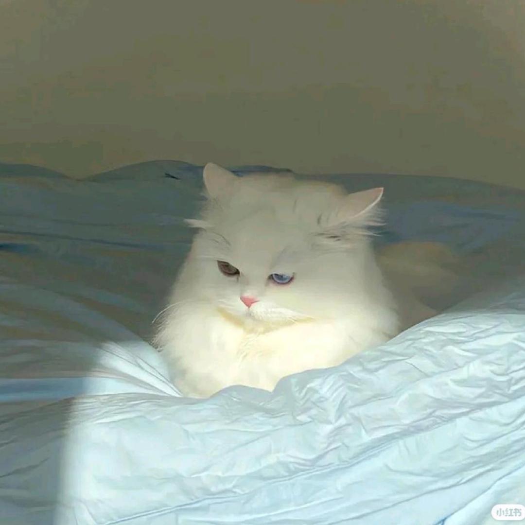 ☁️。