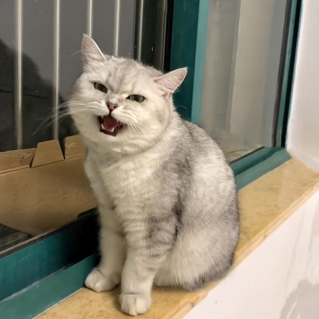 多多宝︍︉︍︍