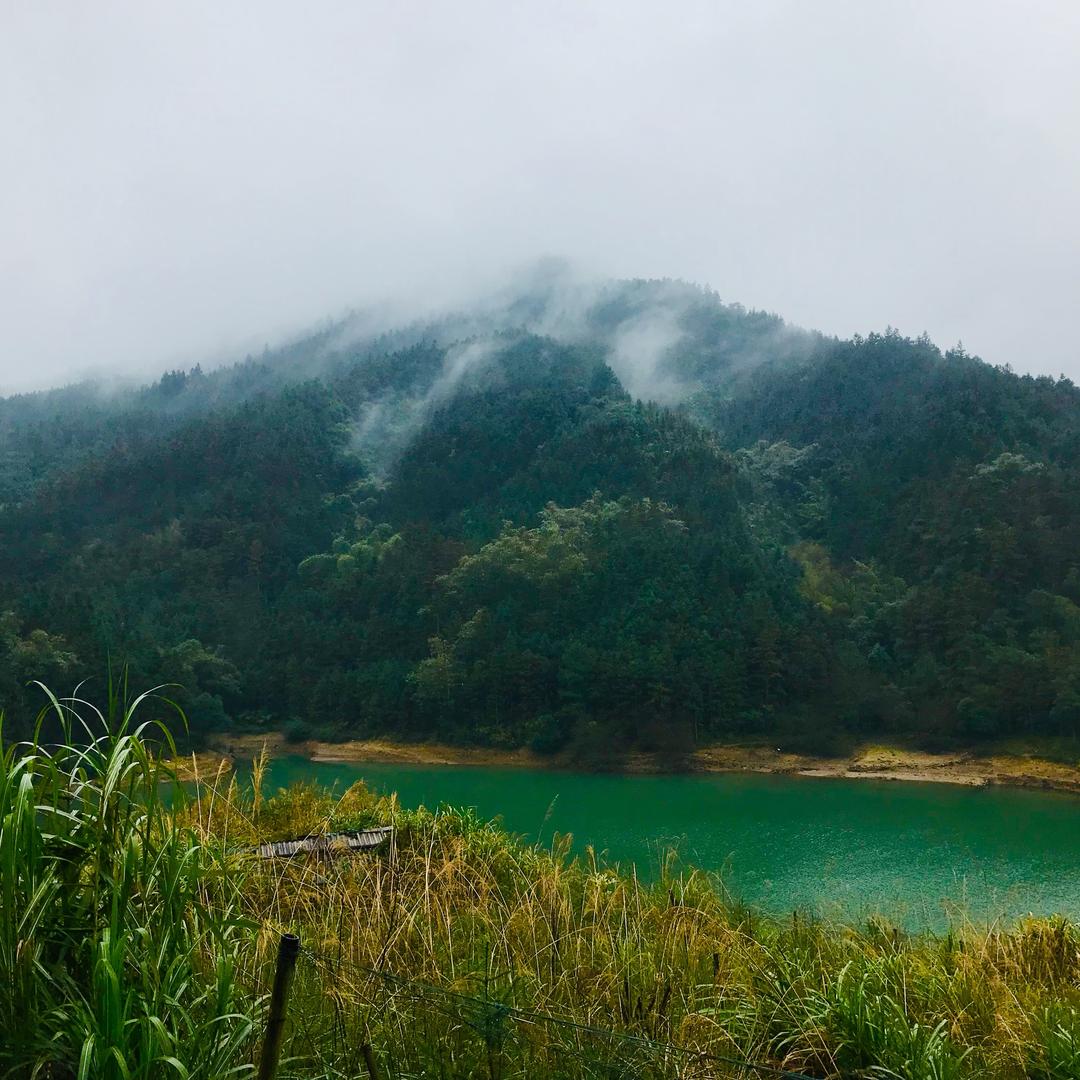 到处跑的期货小赵