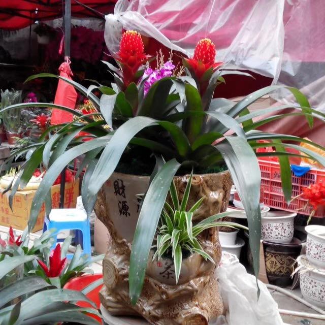 鱼你相遇