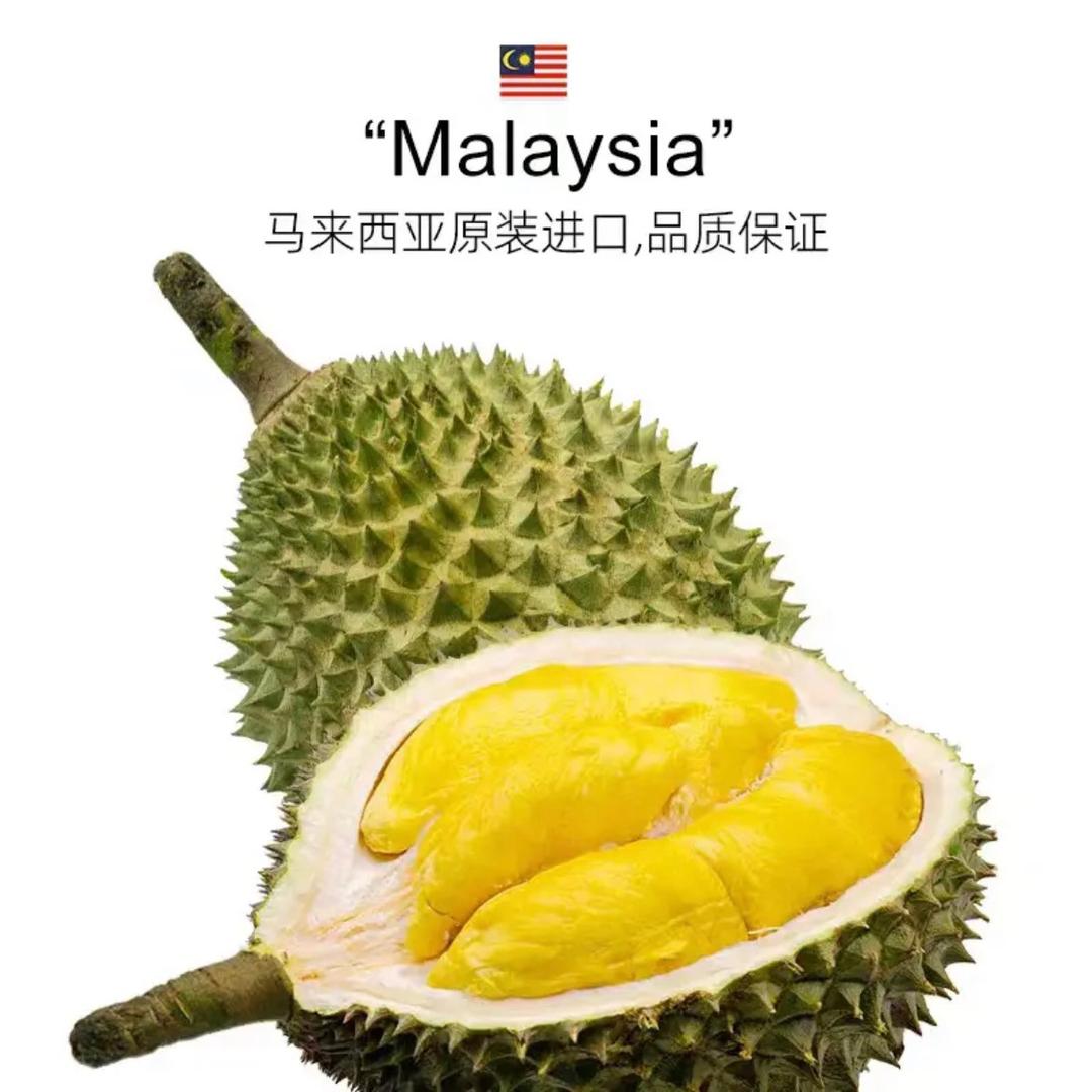 长沙峻通榴莲小时达