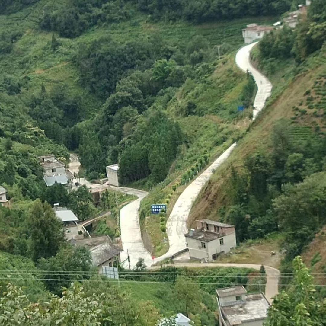 紫阳，先生