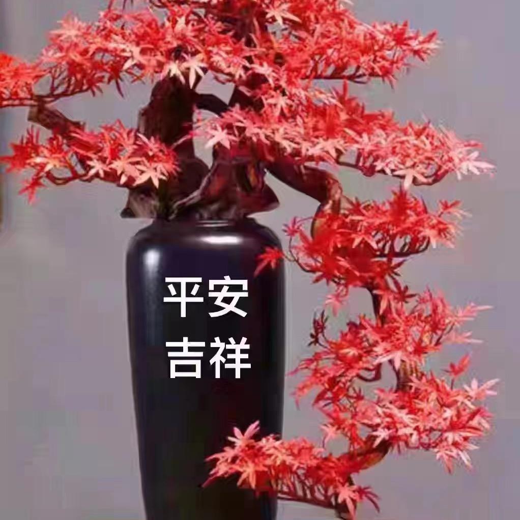 ꪣ一心向阳