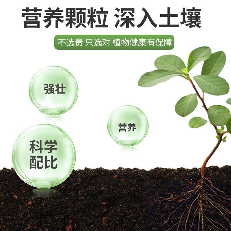 河北农乐汇农业 发酵鸡粪 羊粪