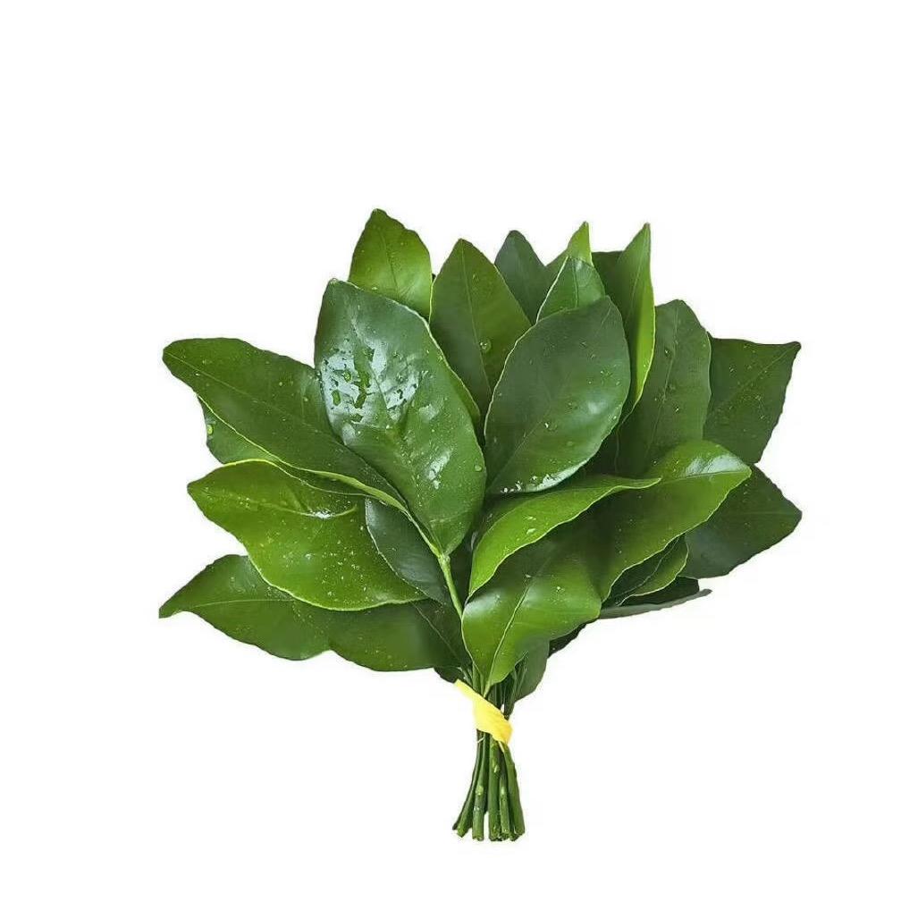 薇.