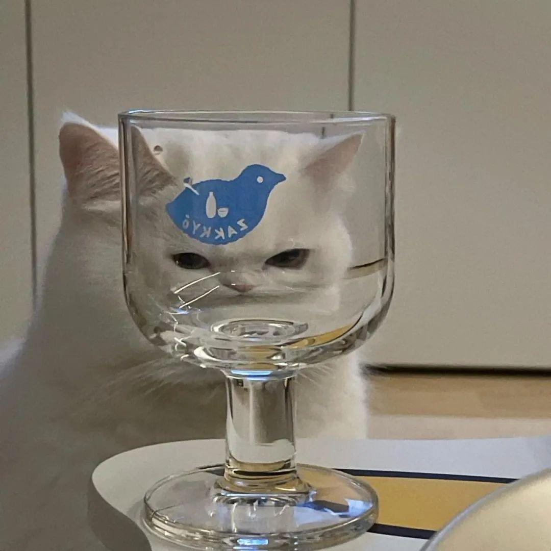 hihouhahu