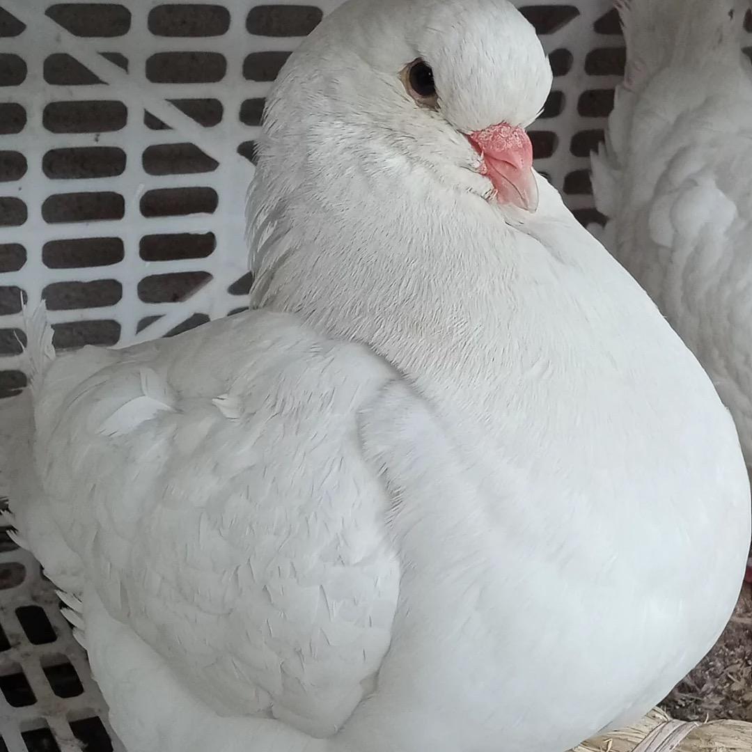 汇亿鑫养殖中心