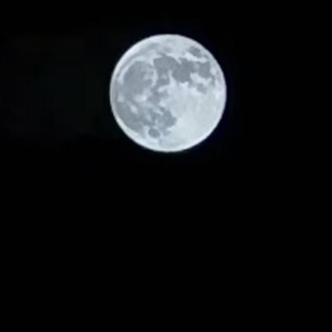 ……