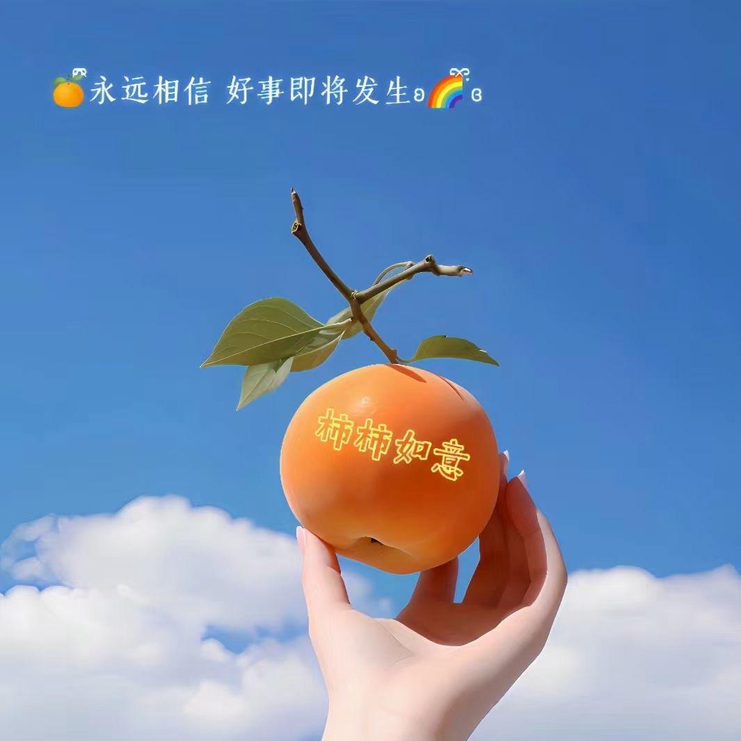 梦菲