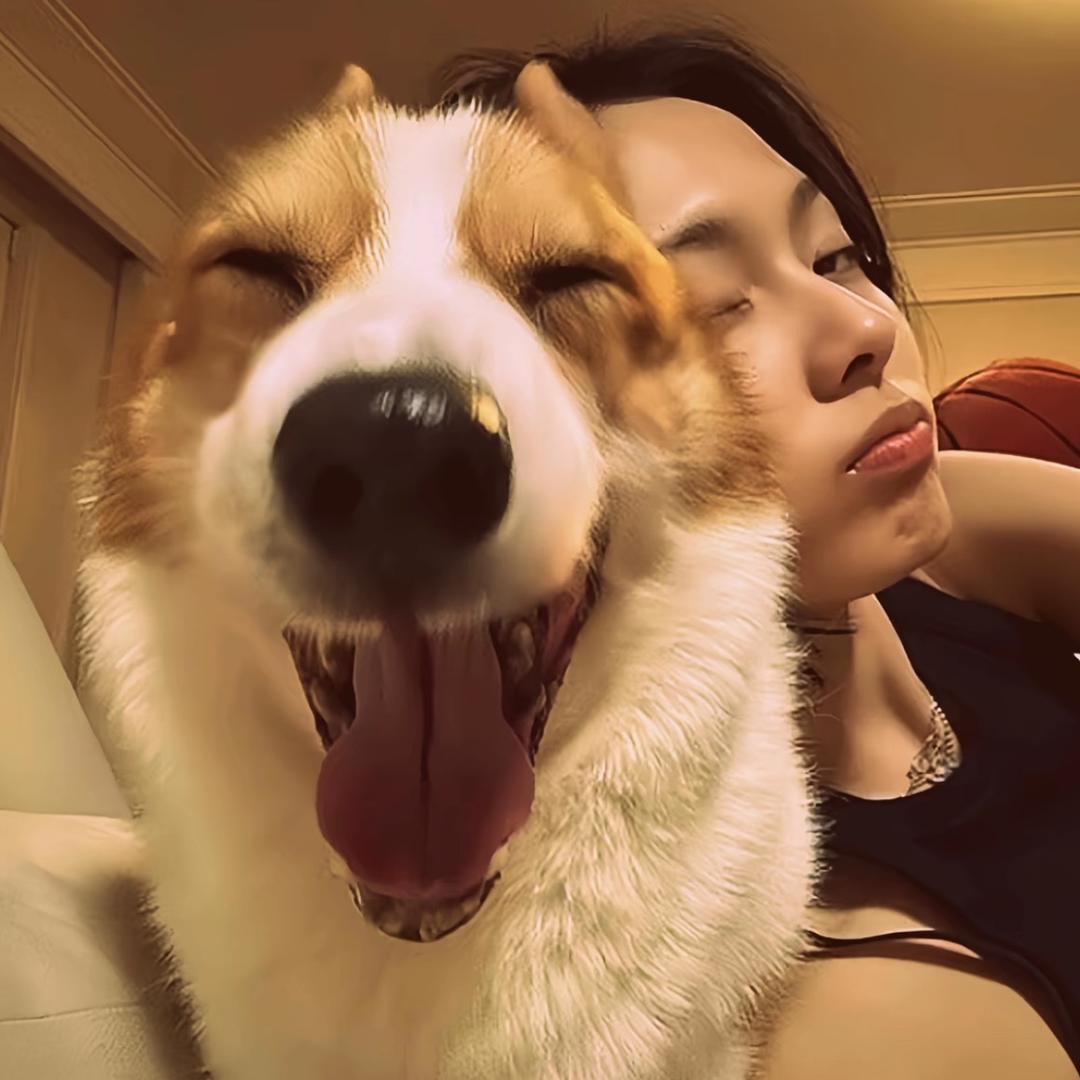 吴大饼.·