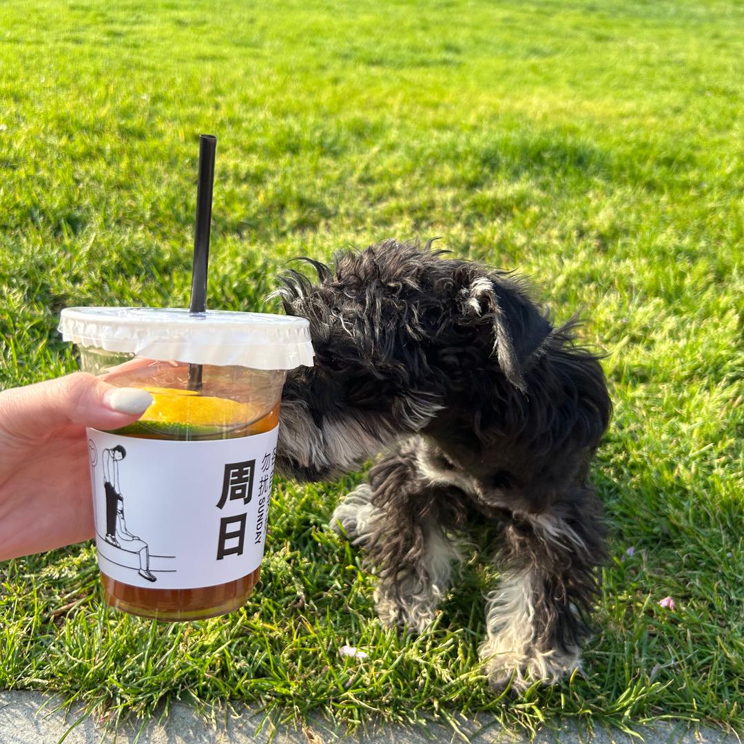 十三幺手打柠檬茶（摆摊记）