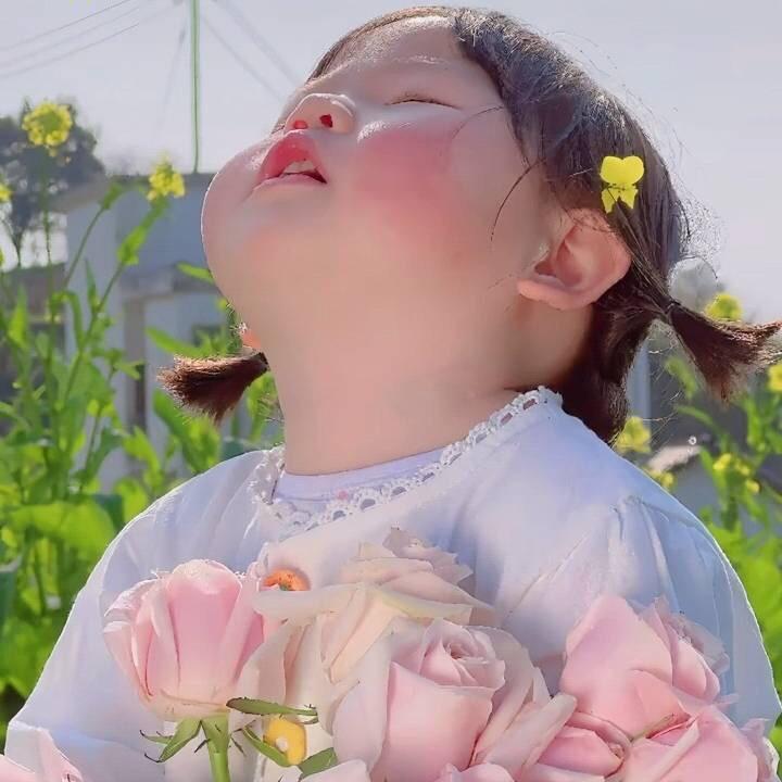 朝花夕拾🏜