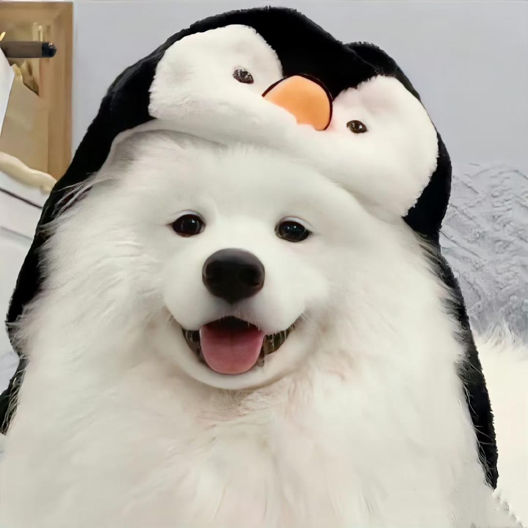 乔植