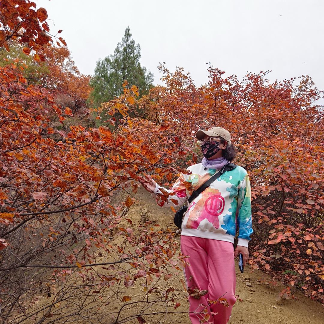 内蒙七七在杨家沟