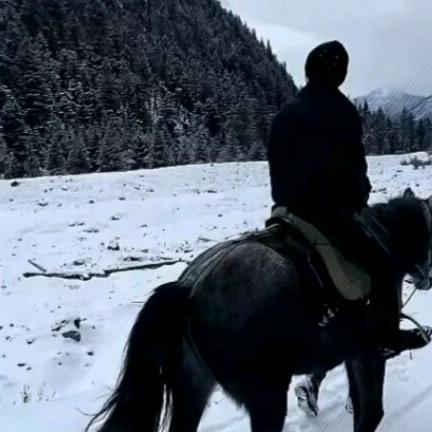 ༄འགྲོ་བ