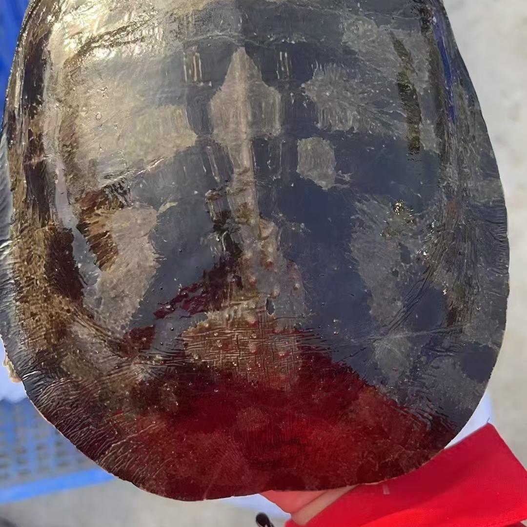 李顺鲜活水产精选小铺