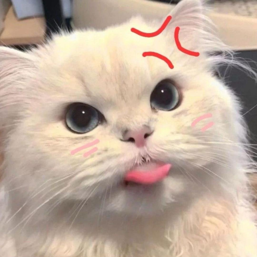 一一文