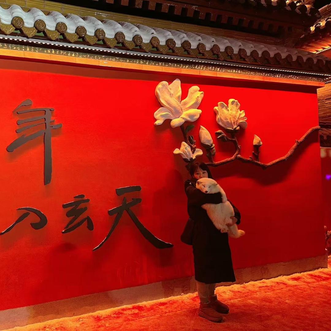 飞哥不吃香菜🇨🇳