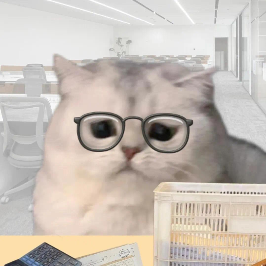 脾气不好就养只不爱你的猫