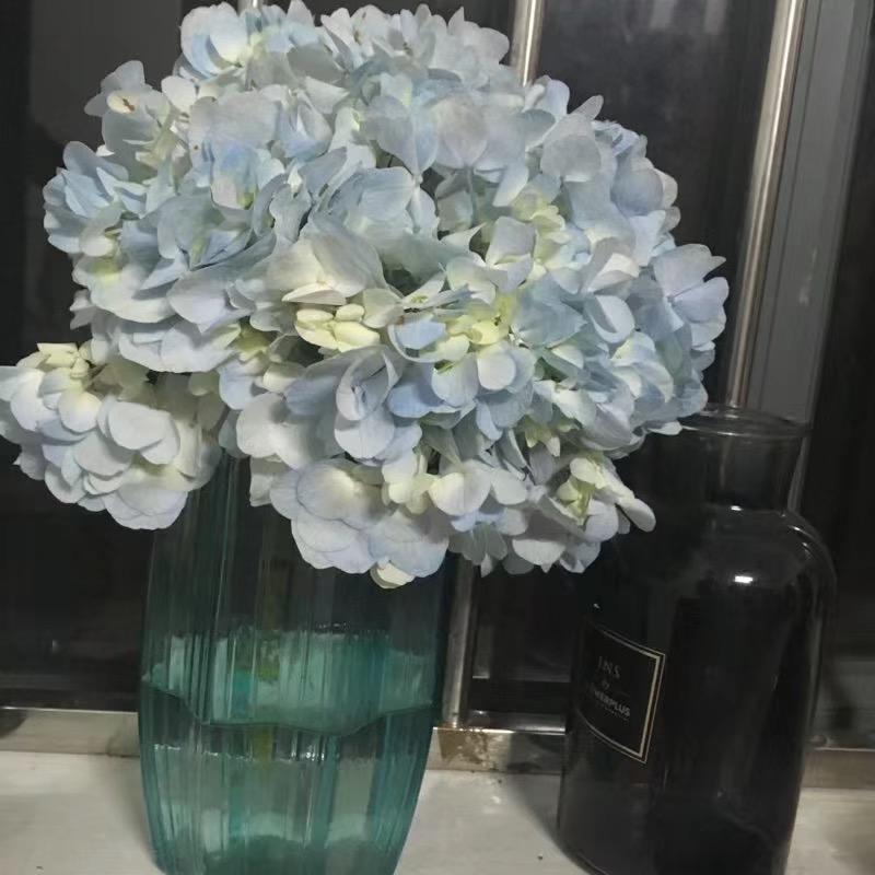 🌙池虫虫