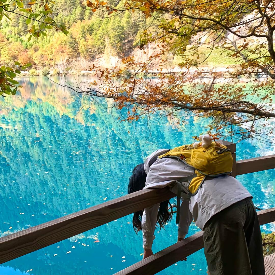川渝旅行家鑫娇