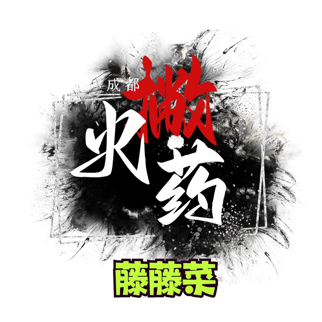 藤藤菜（专业千元练手代步车）