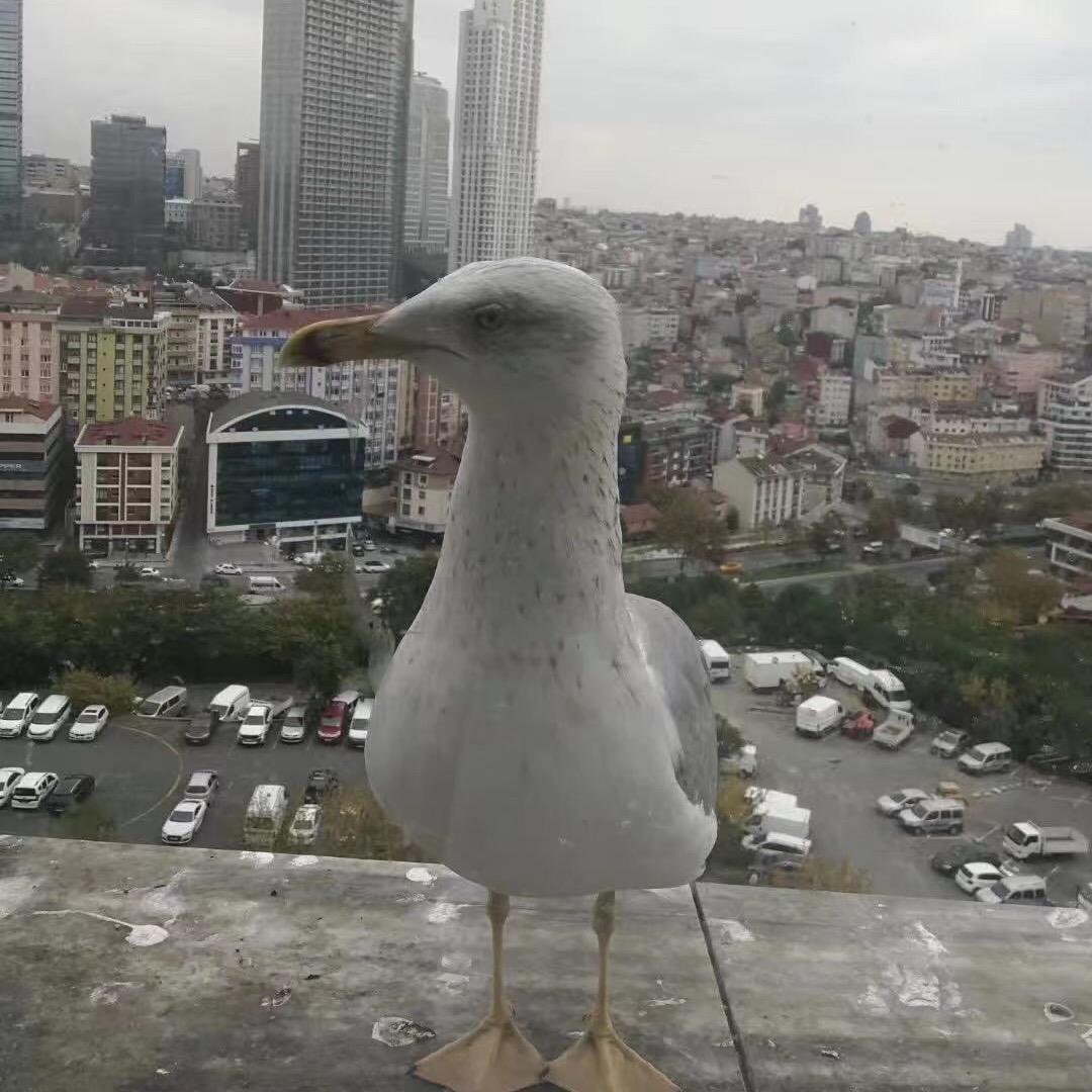 美佳品优选