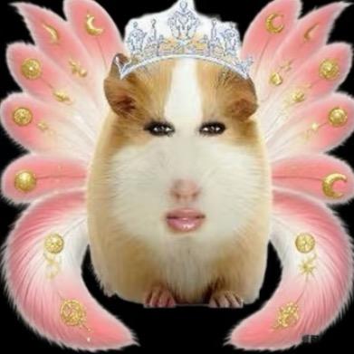 贱人全部晒成人干喂狗