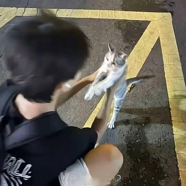 等一场长安雨