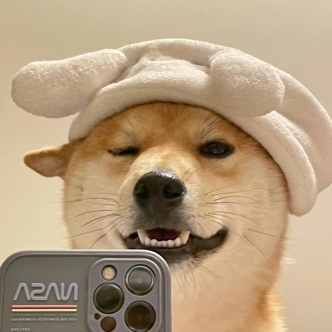 为啥不早说