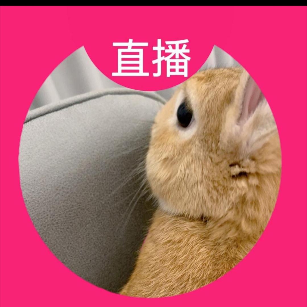 Ro（私信会回）