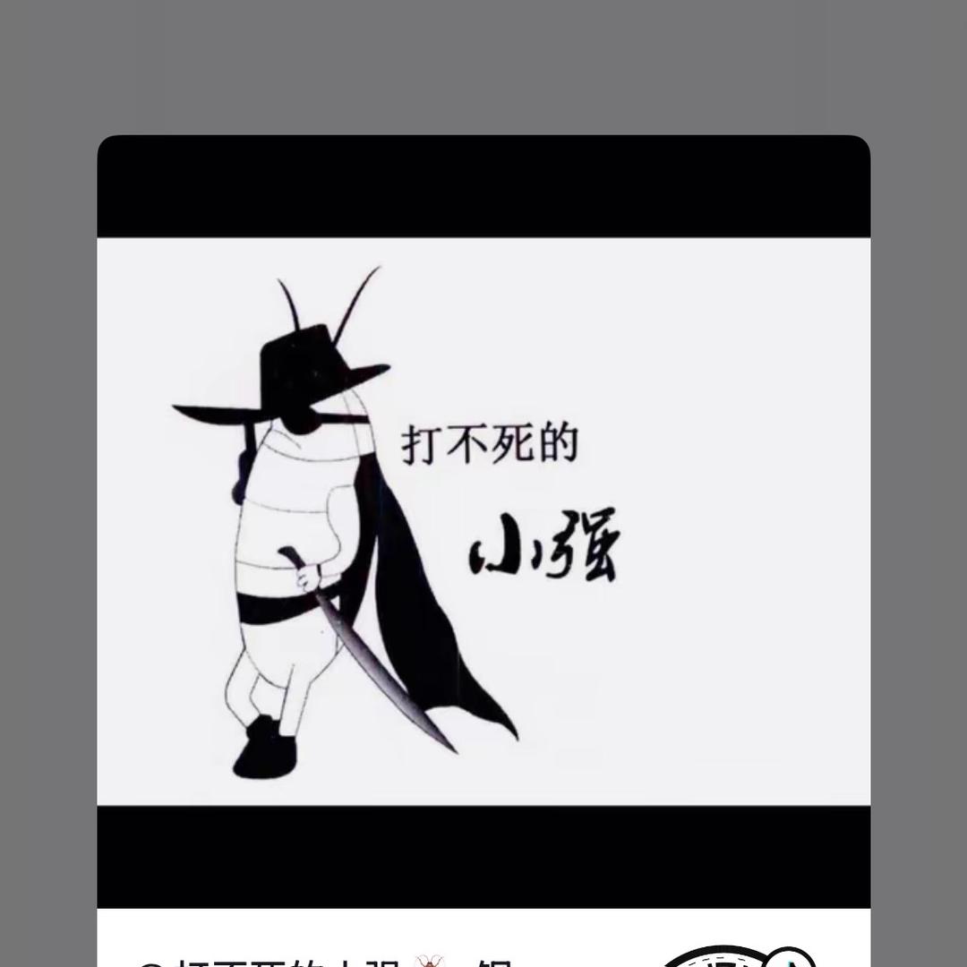 小强来了