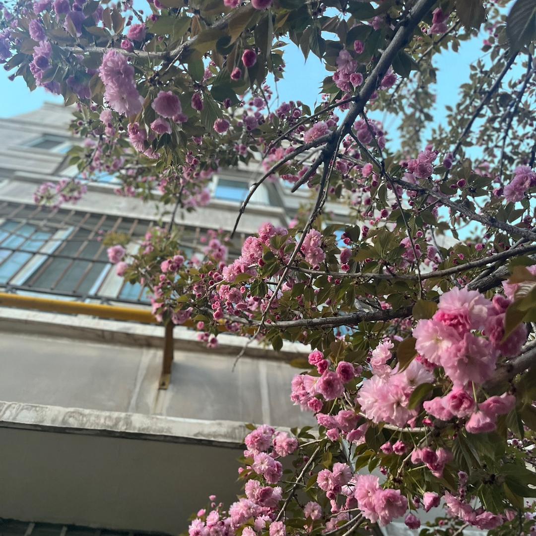 🌼崽崽妈妈爱画画（互关）