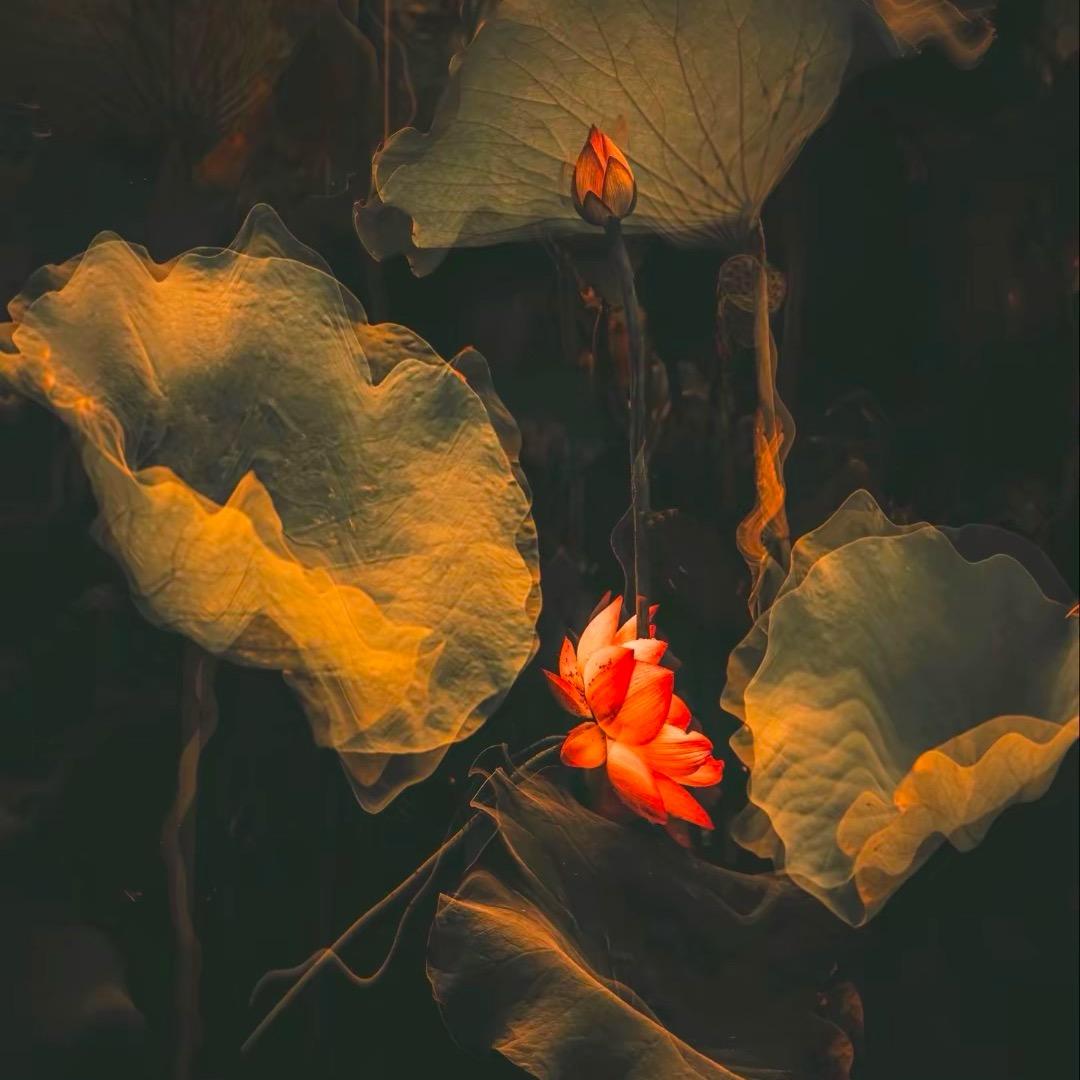 然小然🪷