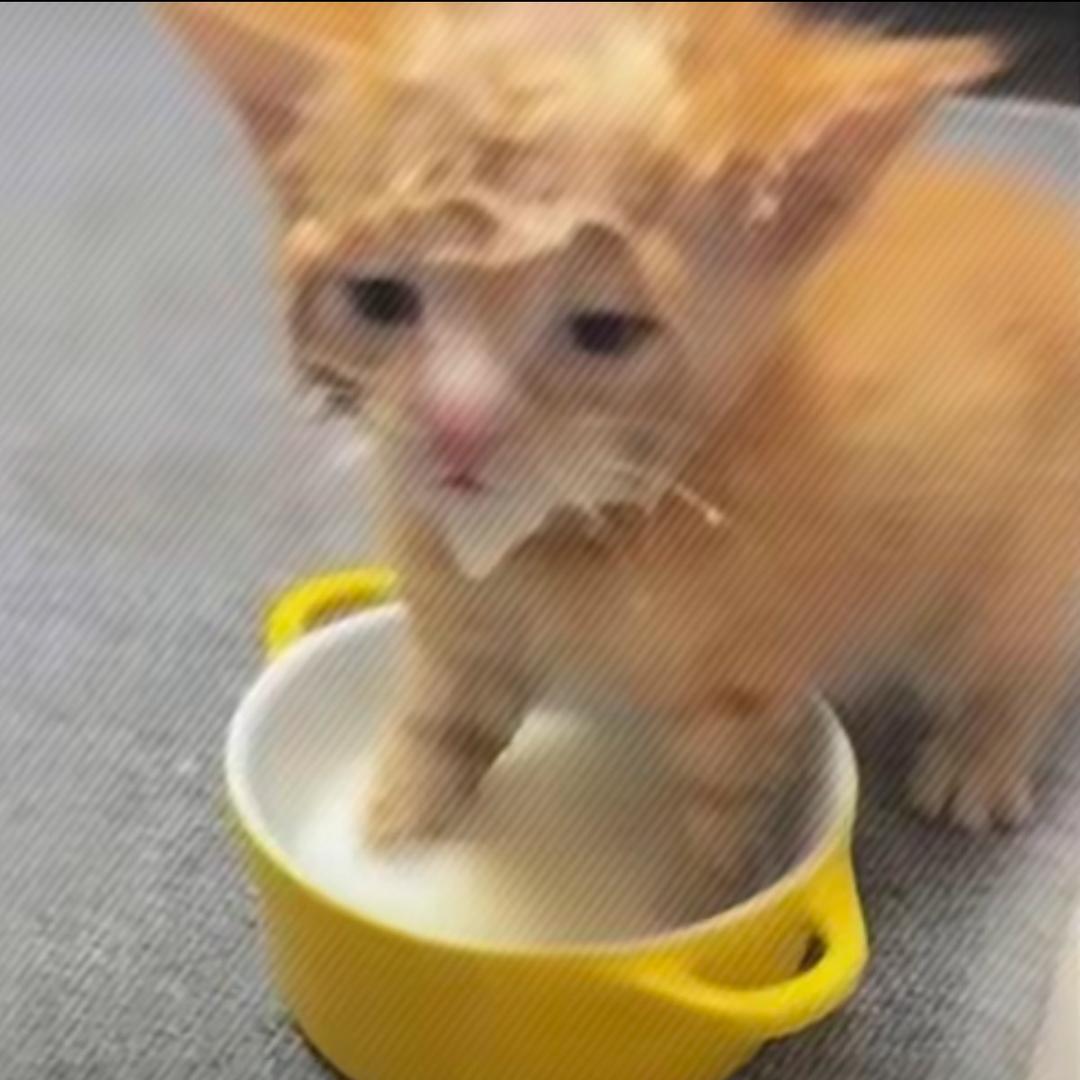 大王