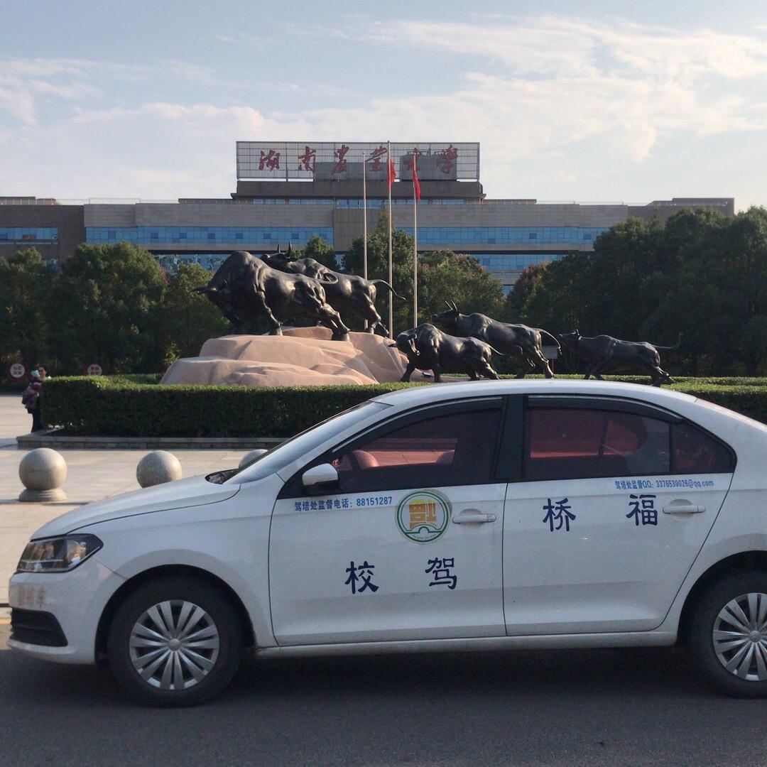 农大福桥驾校
