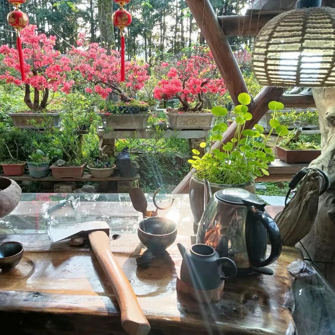 布滨～植恋园