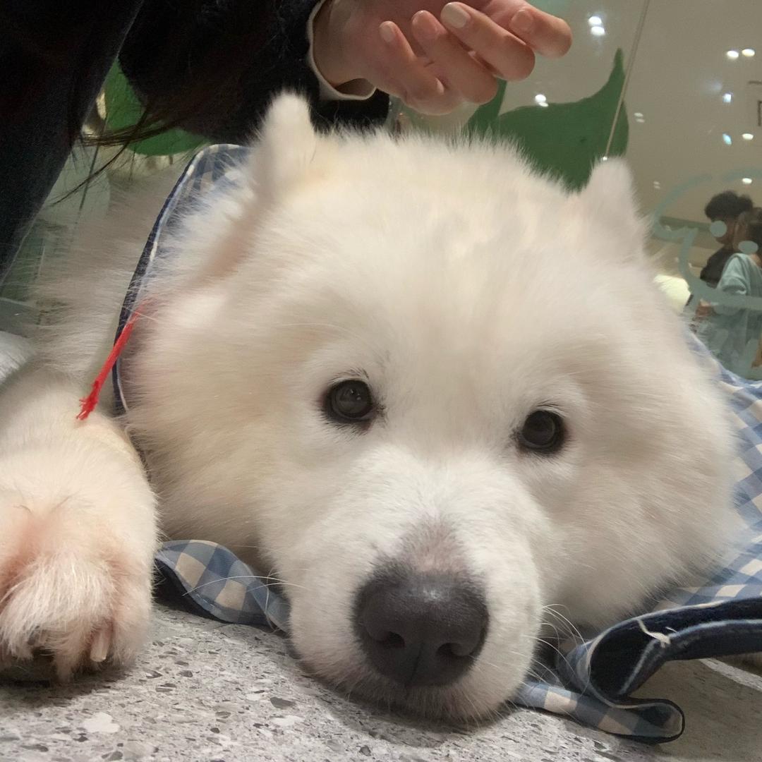 明天不熬夜了^o^