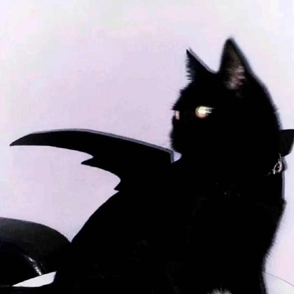 sɪᴍᴏɴ.