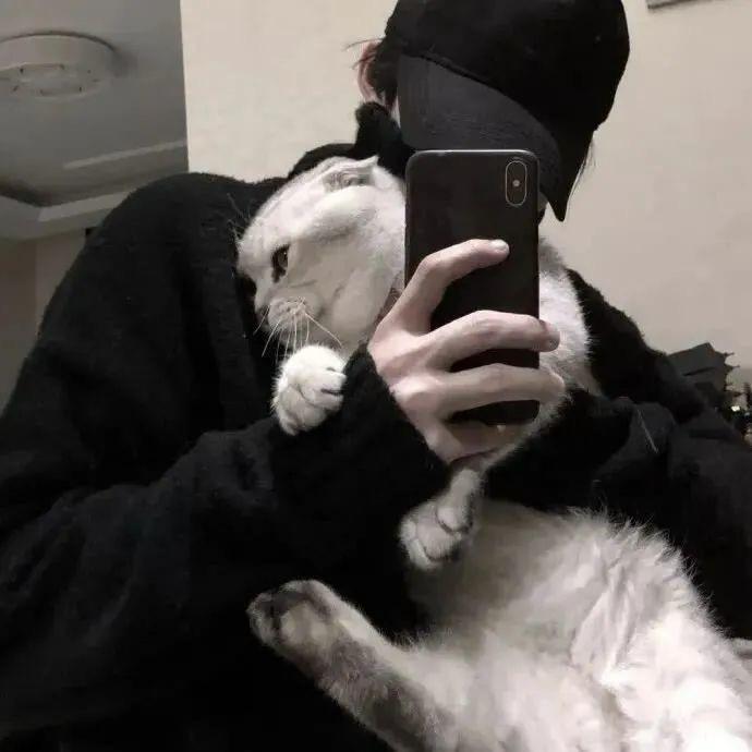 阳。