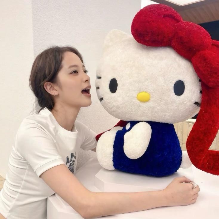 不想说hello的kitty