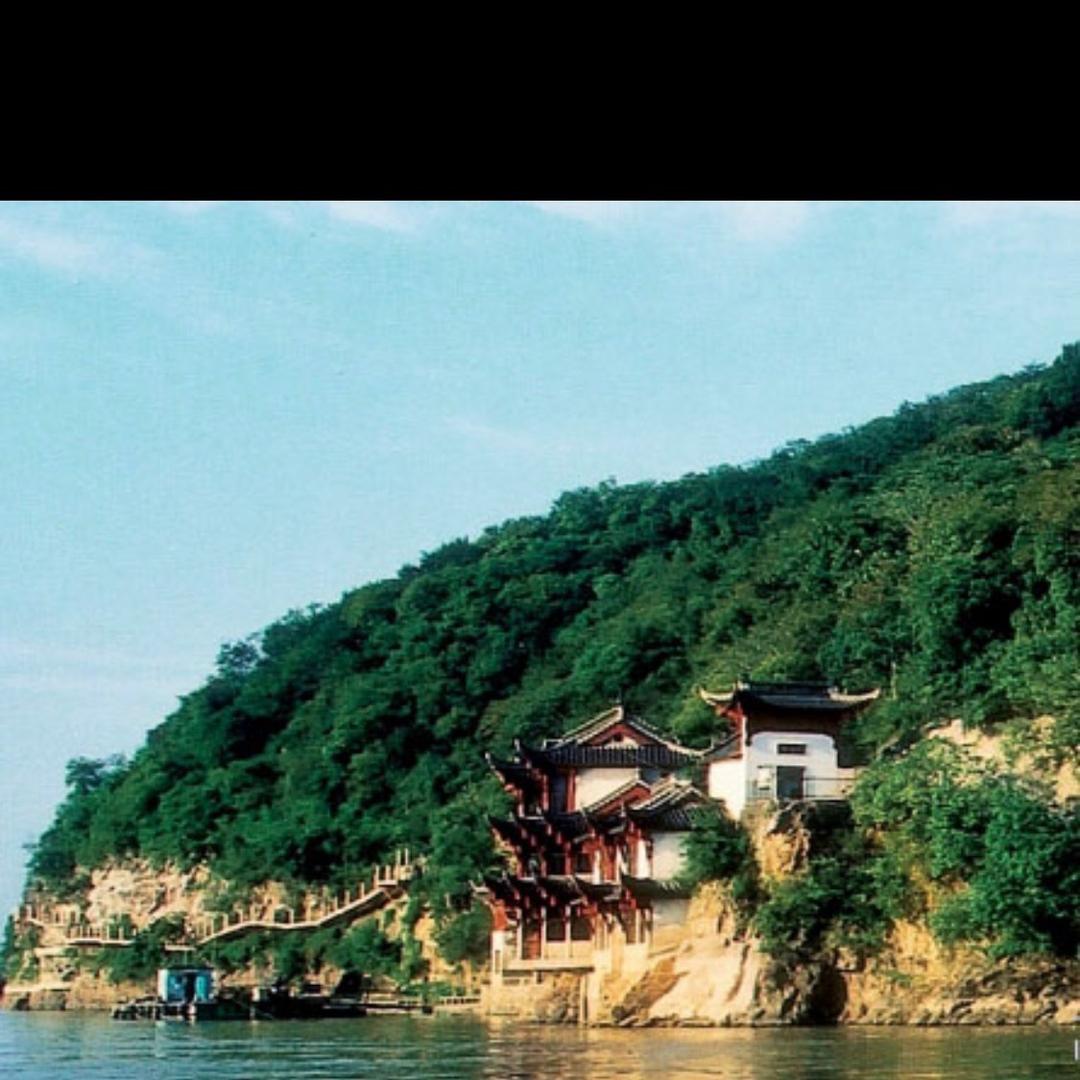 小马东哥