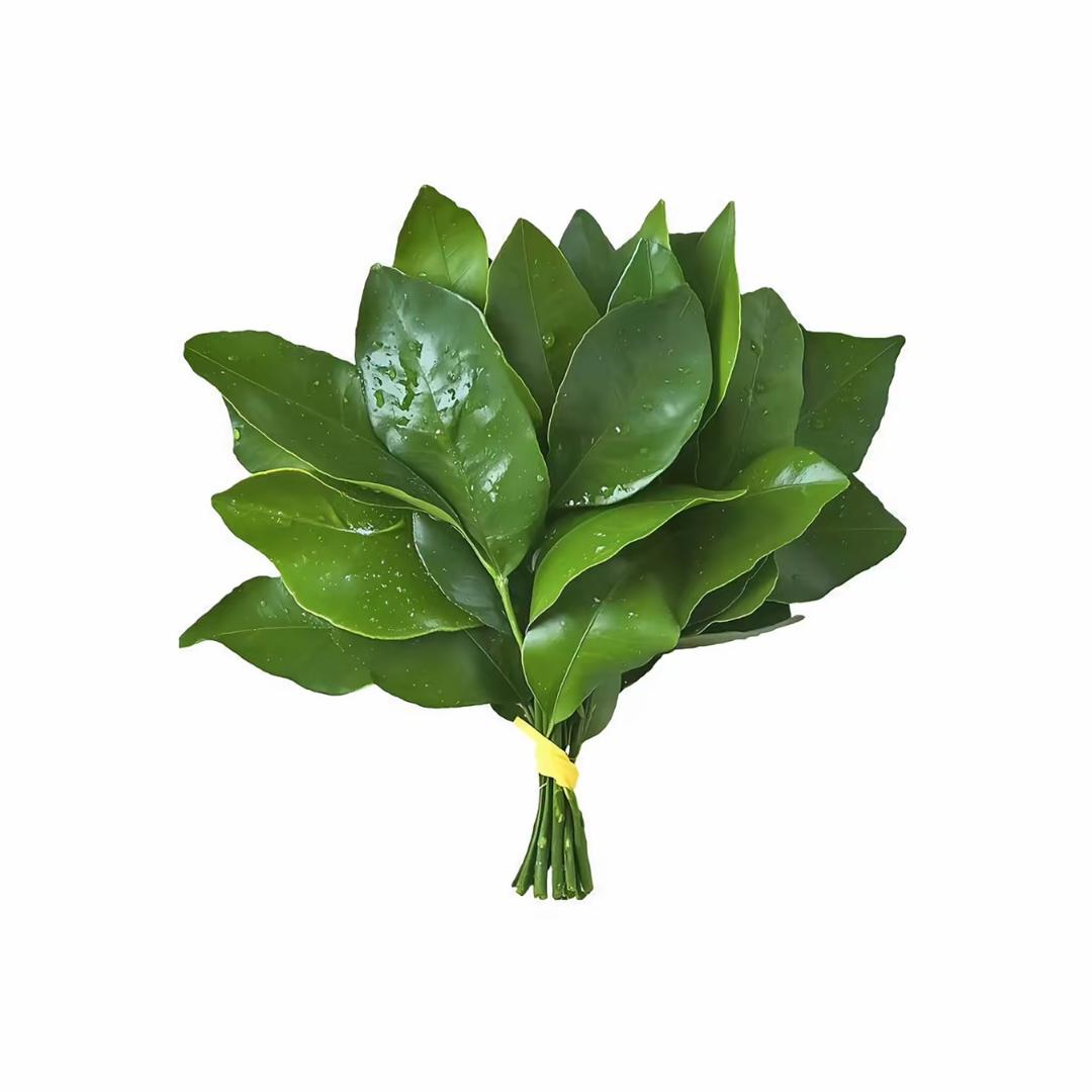 世间一等萌物^