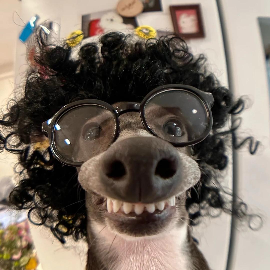 Kevln