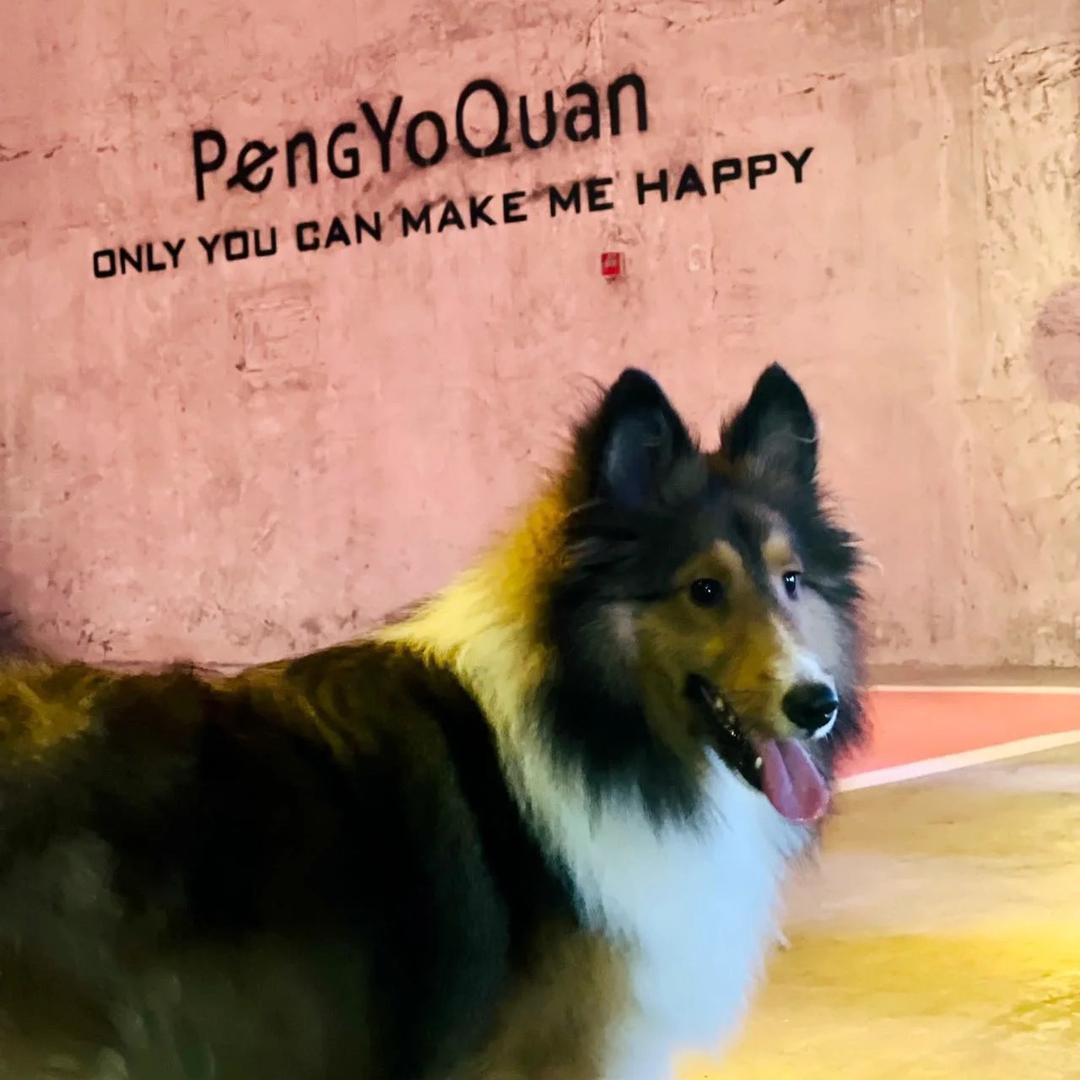 迪迪💋