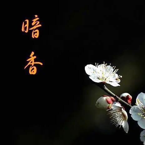 暗香